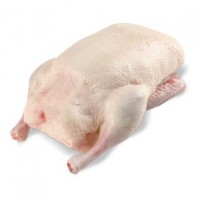 /album/mrazena-hydina/kacica-bez-drobkov-premier-food-jpg/